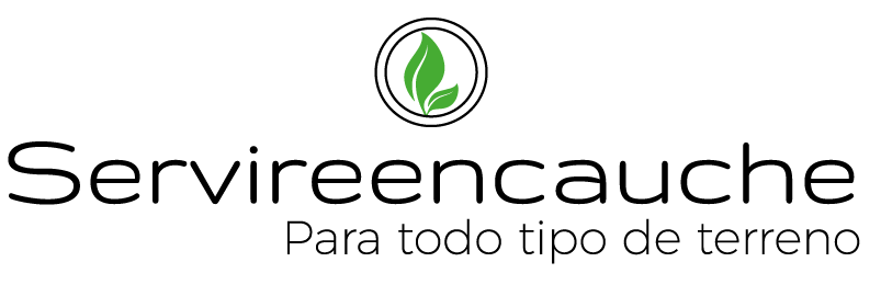 logo2